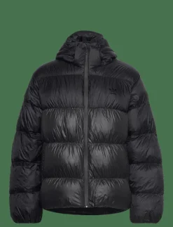 adidas Originals Adicolor Down regen - Dunjackor BLACK Outlet