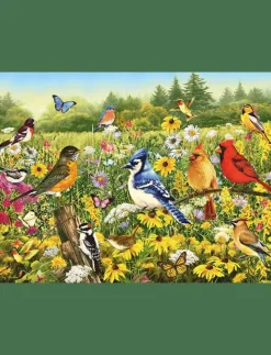 Ravensburger Birds in the Meadow 500p - Klassiska pussel MULTI COLOURED Outlet