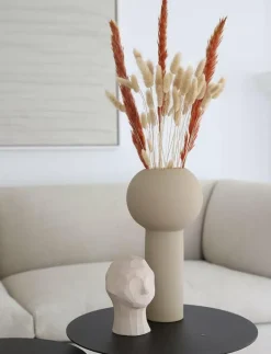 Dried Flowers Pampas - Torkade blommor|Cooee Design