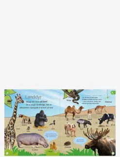 GLOBE Dyreleksikon for de yngste - Pedagogisk barnbok CHILDREN'S BOOK Sale