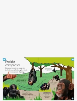 GLOBE Dyreleksikon for de yngste - Pedagogisk barnbok CHILDREN'S BOOK Sale