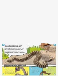 GLOBE Dyreleksikon for de yngste - Pedagogisk barnbok CHILDREN'S BOOK Sale