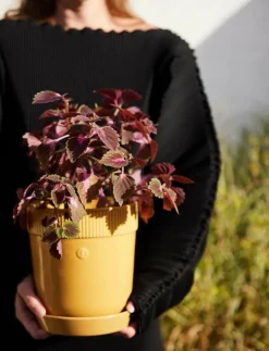 Elise Pot - Krukor|Sagaform Best