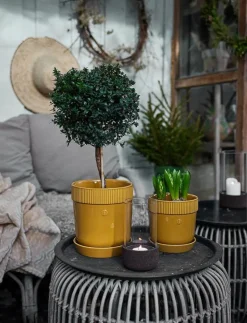 Elise Pot - Krukor|Sagaform Best