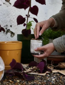 Elise Pot - Krukor|Sagaform Clearance