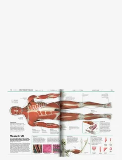 GLOBE Familiens store leksikon - Pedagogisk barnbok CHILDREN'S BOOK