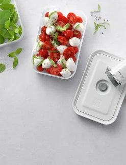 Fresh & Save, Vakuum box set S/M/L St-Gr plast - Vakuumpump|Zwilling Sale