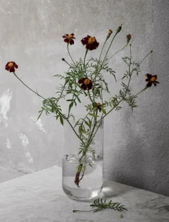 ERNST Glassvase - Tulpanvas CLEAR Outlet