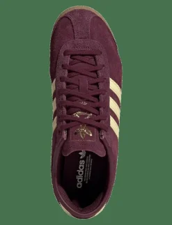 adidas Originals ITALIA 70s W - Låga sneakers MAROON/ALMYEL/GOLDMT New