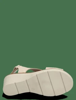 Ivy - Kilklackar|Dasia Best