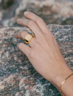 IX Studios IX Tribute Signet Ring - Ringar GOLD Best