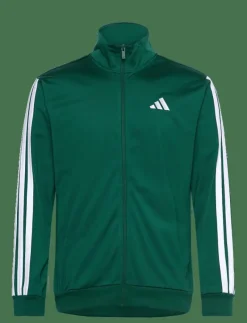 adidas Sportswear M 3S TR TT - Sweatshirts CGREEN Sale