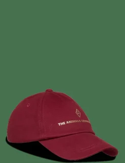 THE ANIMALS OBSERVATORY Hamster Cap - Kepsar MAROON New