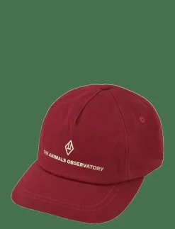 Hamster Cap - Kepsar|THE ANIMALS OBSERVATORY Discount