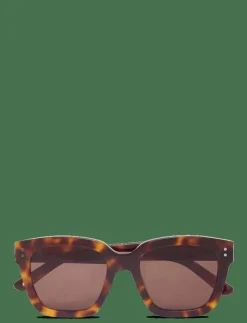 Corlin Eyewear Modena Tortoise Brown - D-form Hot