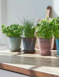 Knabstrup Keramik Odlingskruka - Krukor PINK Sale