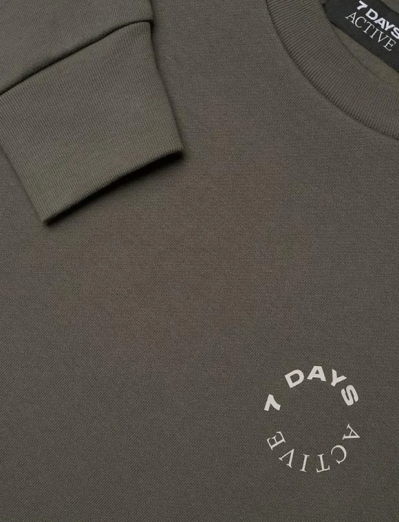 7 DAYS Active Organic Crewneck - Sweatshirts 036 BELUGA GREY Best