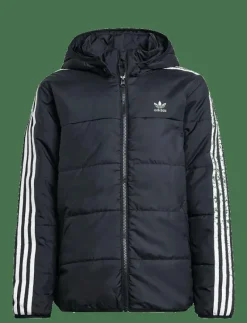 adidas Originals PADDED JACKET - Dunjackor & fodrade jackor BLACK Outlet