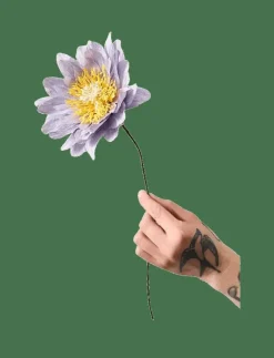 PAPER FLOWER - Torkade blommor|Studio About New