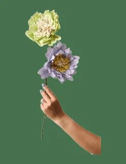 PAPER FLOWER - Torkade blommor|Studio About New