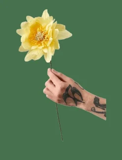 PAPER FLOWER - Torkade blommor|Studio About Sale