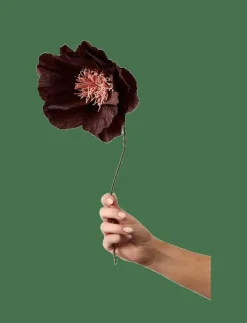 Studio About PAPER FLOWER - Torkade blommor BROWN New