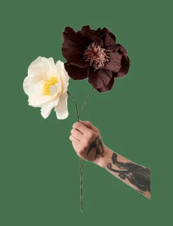Studio About PAPER FLOWER - Torkade blommor BROWN New
