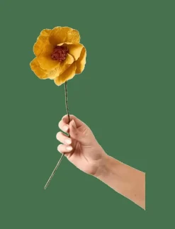 Studio About PAPER FLOWER - Torkade blommor OCHRE Outlet