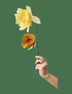 Studio About PAPER FLOWER - Torkade blommor OCHRE Outlet
