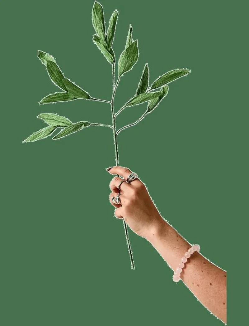 PAPER FLOWER, BRANCH WITH DETAILED LEAFS, - Torkade blommor|Studio About Best