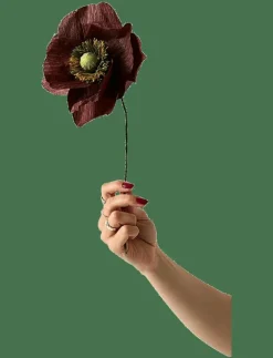 PAPER FLOWER, PAPAVER, - Torkade blommor|Studio About Sale