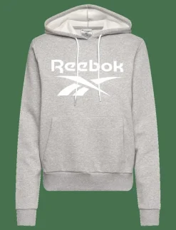 REEBOK IDENTITY BIG LOGO FLEECE HOO - Sweatshirts|Reebok Performance Discount