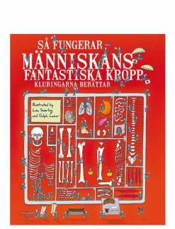 GLOBE Så fungerar människans fantastiska kropp - Pedagogisk barnbok CHILDREN'S BOOK Outlet