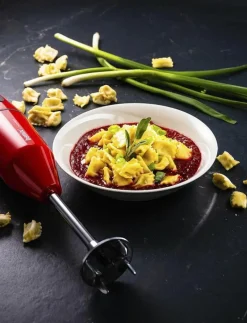 Bamix Stavmixer Cordless 10,8 volt - Stavmixers RED New