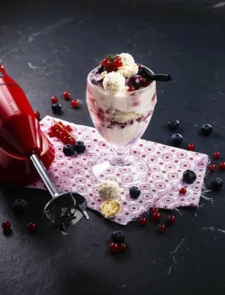 Bamix Stavmixer Cordless 10,8 volt - Stavmixers RED New