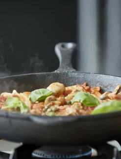 Stekpanna - Stekpannor|Holm Sale