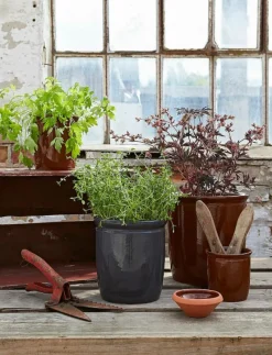 Knabstrup Keramik Syltkruka - Förvaringsburkar BROWN Best