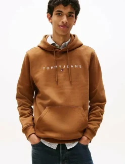 Tommy Jeans TJM REG LINEAR LOGO HOODIE EXT - Hoodies PECAN NUT MULTI Sale