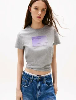 Tommy Jeans TJW REG GRADIENT FLAG SS - T-shirts GREY HTR Best