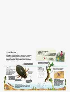 GLOBE Ud i naturen Insekter & edderkopper - Pedagogisk barnbok CHILDREN'S BOOK Discount