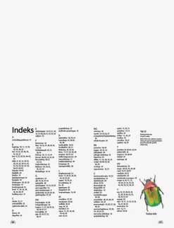 GLOBE Ud i naturen Insekter & edderkopper - Pedagogisk barnbok CHILDREN'S BOOK Discount