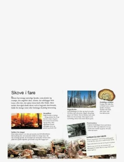 GLOBE Ud i naturen Skoven - Pedagogisk barnbok CHILDREN'S BOOK Outlet