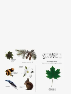 GLOBE Ud i naturen Skoven - Pedagogisk barnbok CHILDREN'S BOOK Outlet