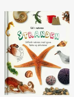 GLOBE Ud i naturen Stranden - Pedagogisk barnbok CHILDREN'S BOOK Best
