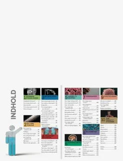 GLOBE Vilde spørgsmål - Vilde svar KROPPEN - Pedagogisk barnbok BOOK Hot