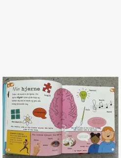 GLOBE Vores verden - Leksikon for de yngste - Pedagogisk barnbok CHILDREN'S BOOK Sale